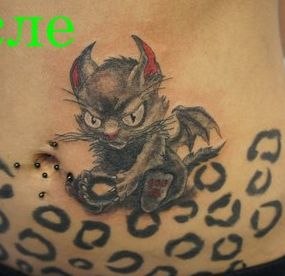 Фото, значение в магии татуировки " Кот. Кошка. Котенок. " - Страница 3 OUeOcsbU8Lc